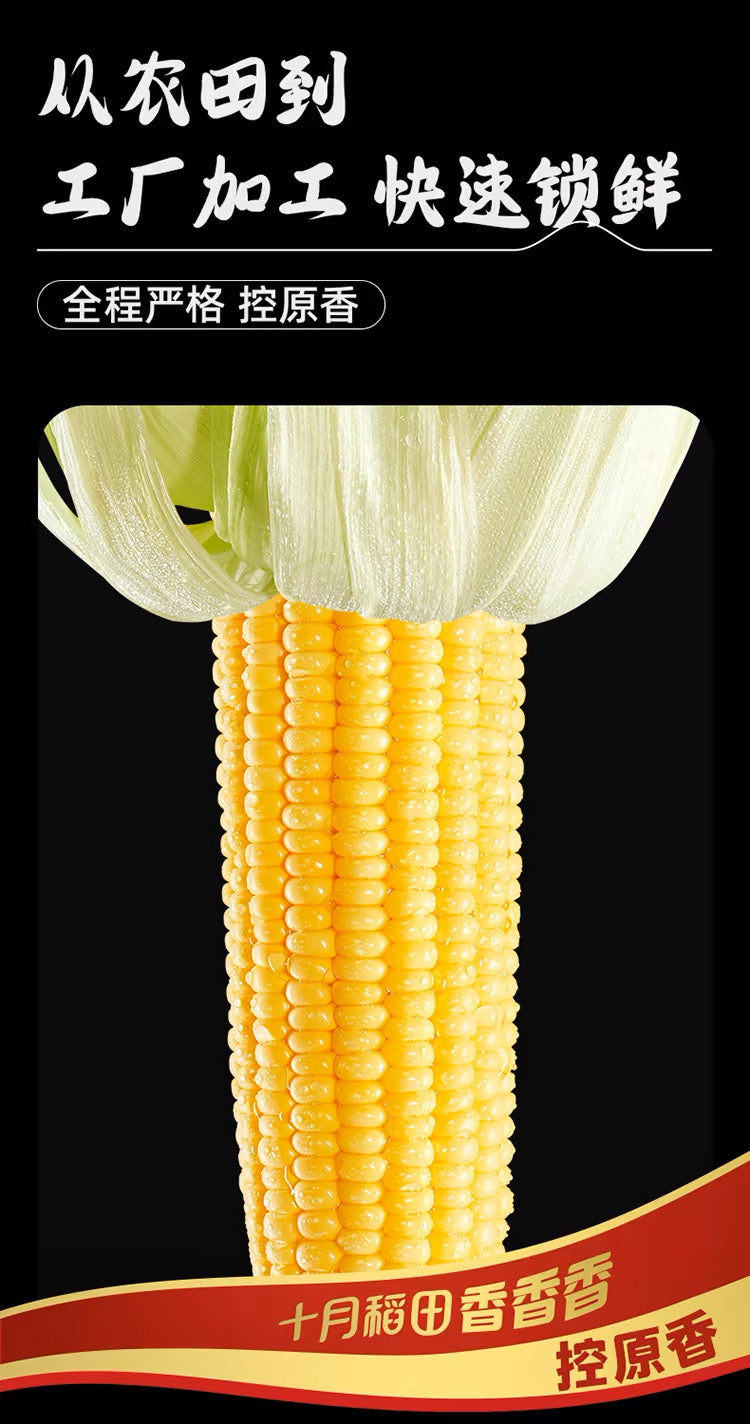 【October Rice Field】Barbecue Corn