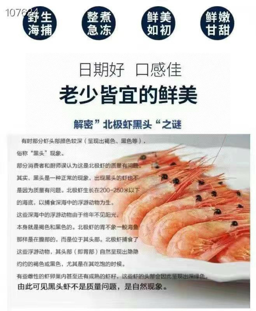 ❄️【加拿大】野生北极甜虾