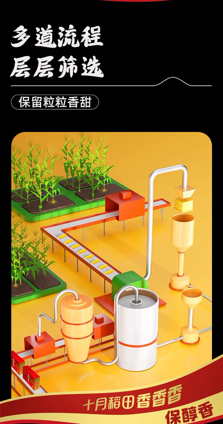 【October Rice Field】Barbecue Corn