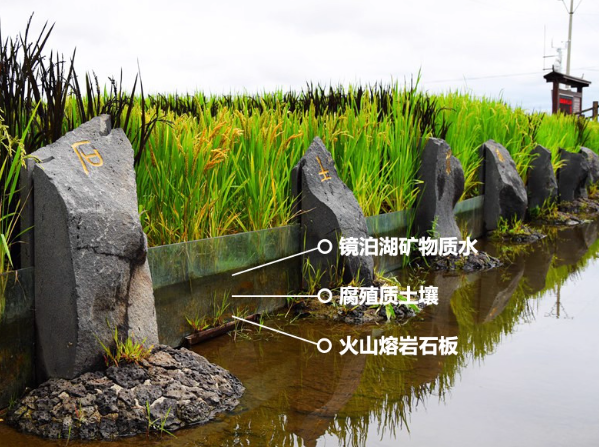 【美地农场】火山岩石 响水石板大米 2.5公斤