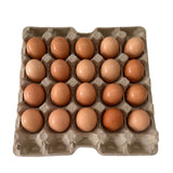 【Local】Farm free range eggs Jumbo Brown 1 box 100 pieces