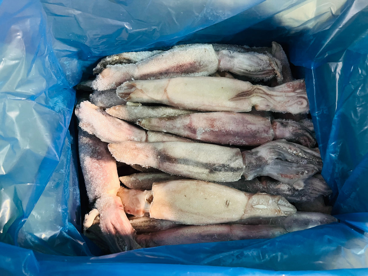 ❄️【TRULY FRESH】船冻鱿鱼