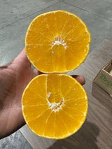 【Red Beauty】Jelly Orange Bulk 6 lbs