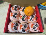 【中国】春见耙耙柑 1箱2.5公斤