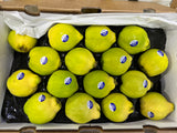 【QUINCE】榅桲 1箱7.4公斤