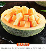 【HAMI】哈密瓜