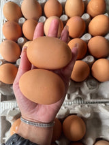 【Local】Farm free range eggs Jumbo Brown 1 box 100 pieces