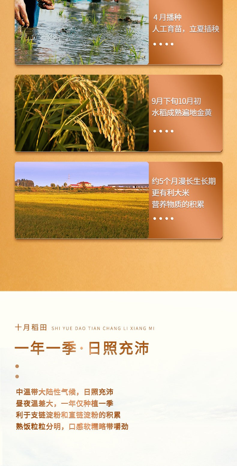 【October Rice Field】Long Grain Fragrant Rice 5kg