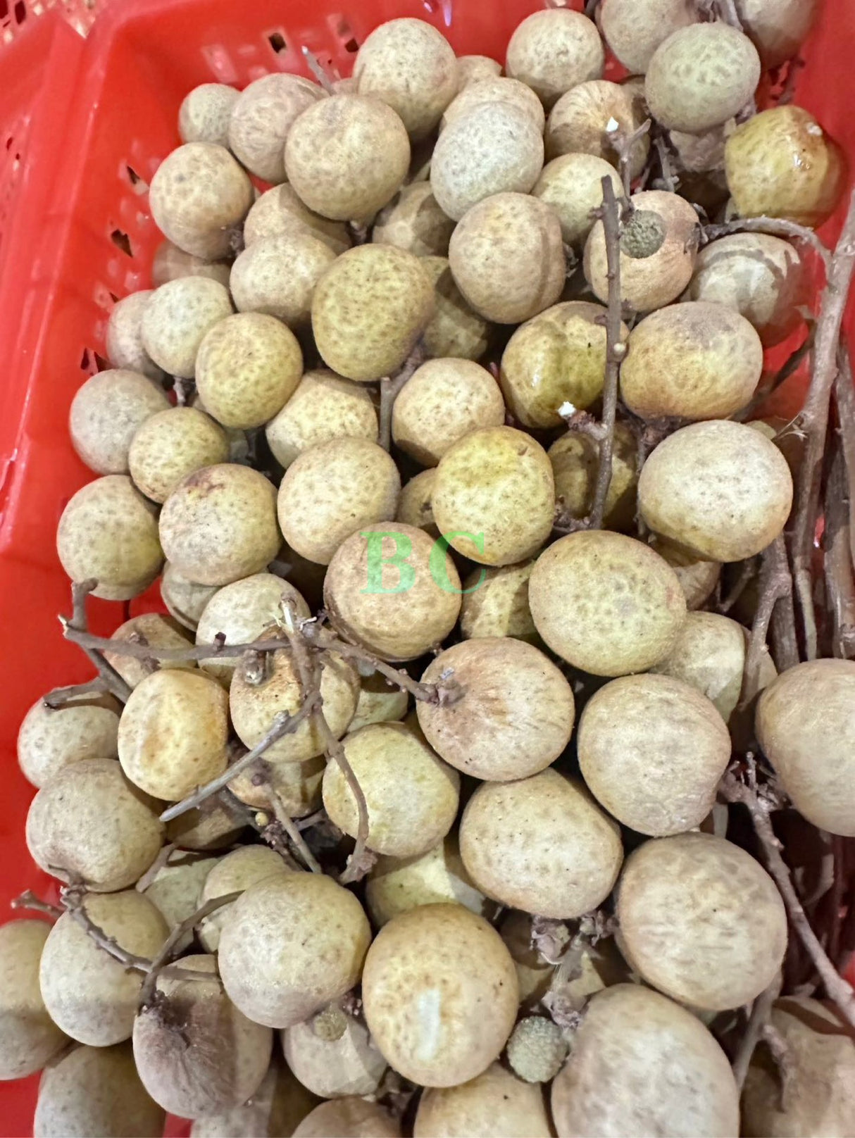 Special offer【LONGAN】Longan 1 box 2 kg