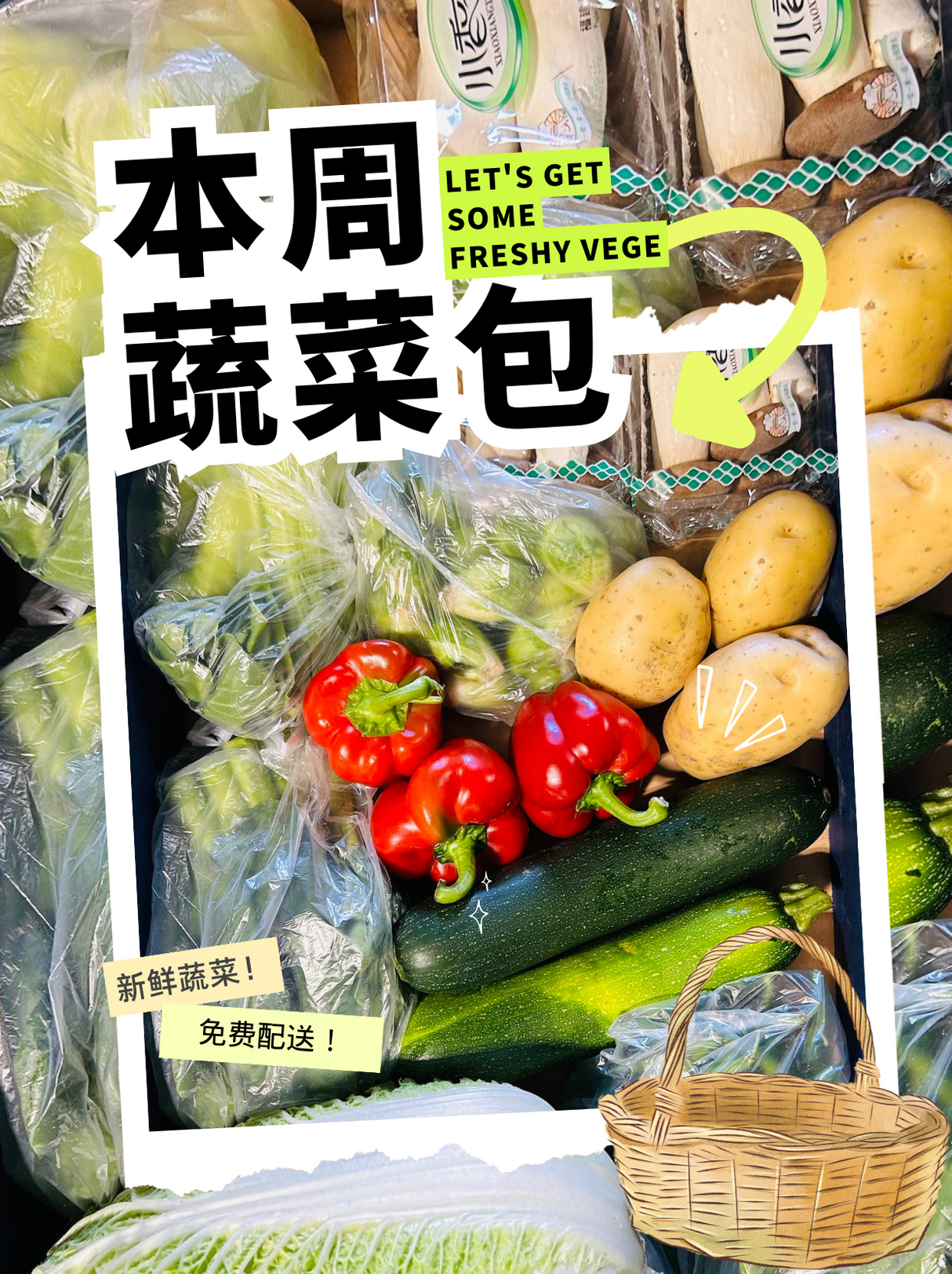 【TRULY FRESH】9 types of upgraded vegetable bags