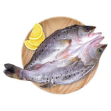 ❄️【Dayu Seafood】Wine-flavored sea bass 550g*2 large pieces