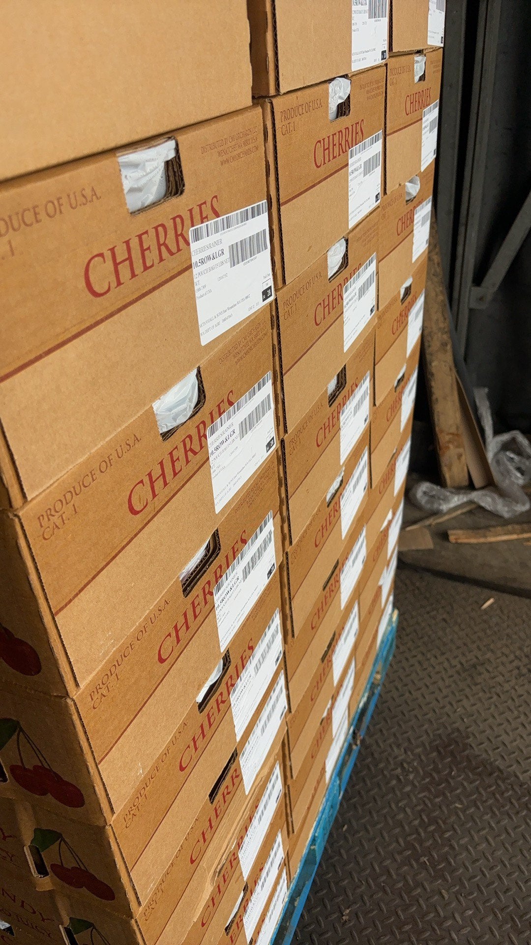 【USA】Rainier Golden Cherries 3 pounds