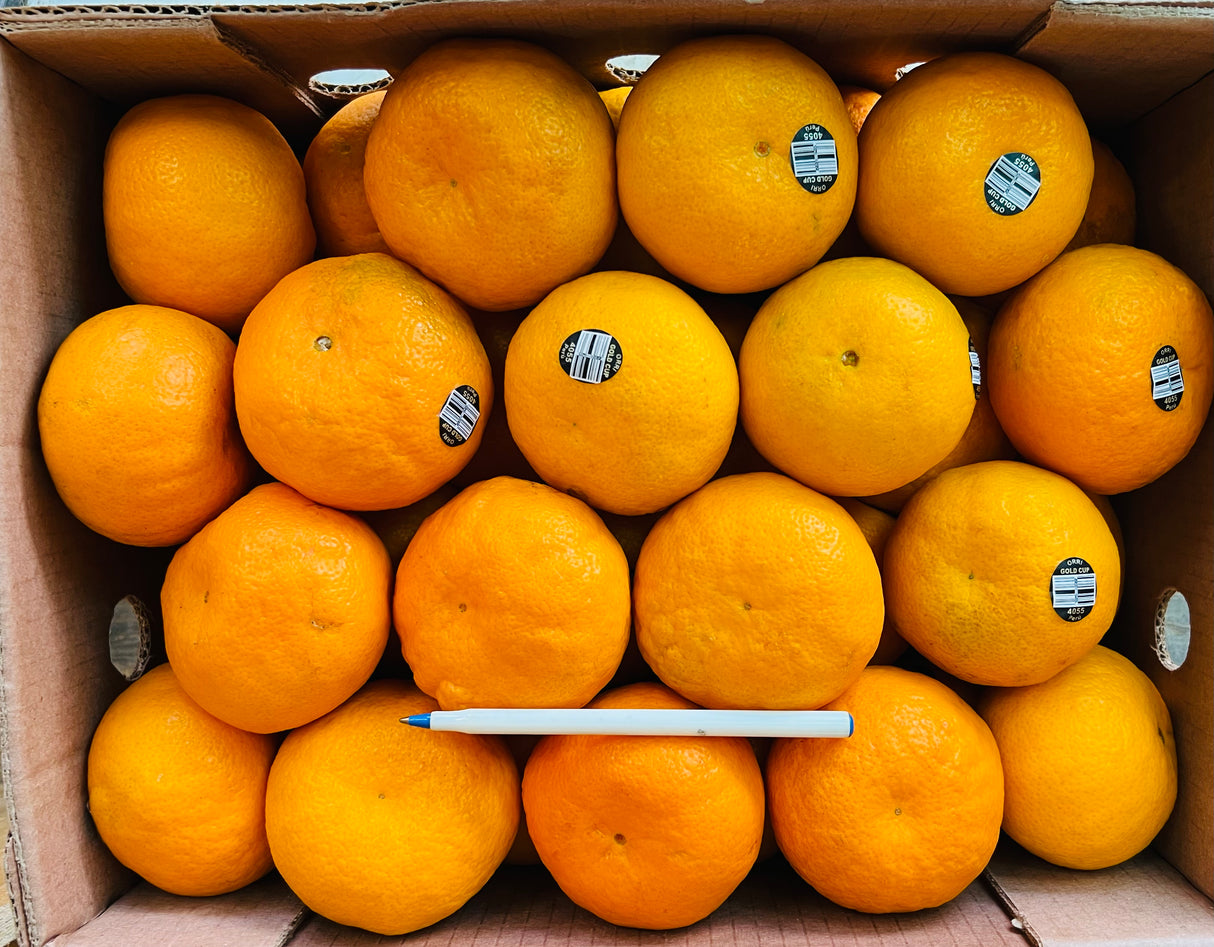 【ORRI】Sweet oranges 8 pounds