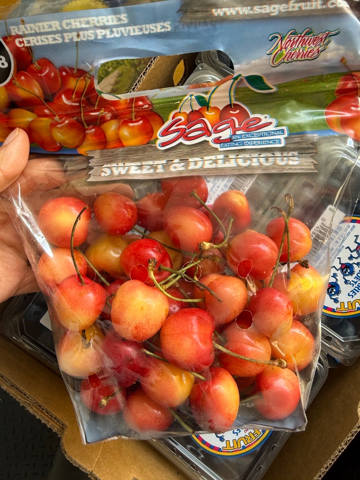 【USA】Rainier Golden Cherries 3 pounds
