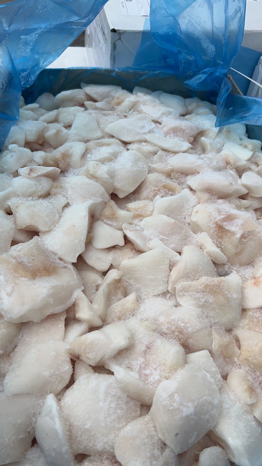 ❄️【China】Cod Cheek Meat 1.5 lbs