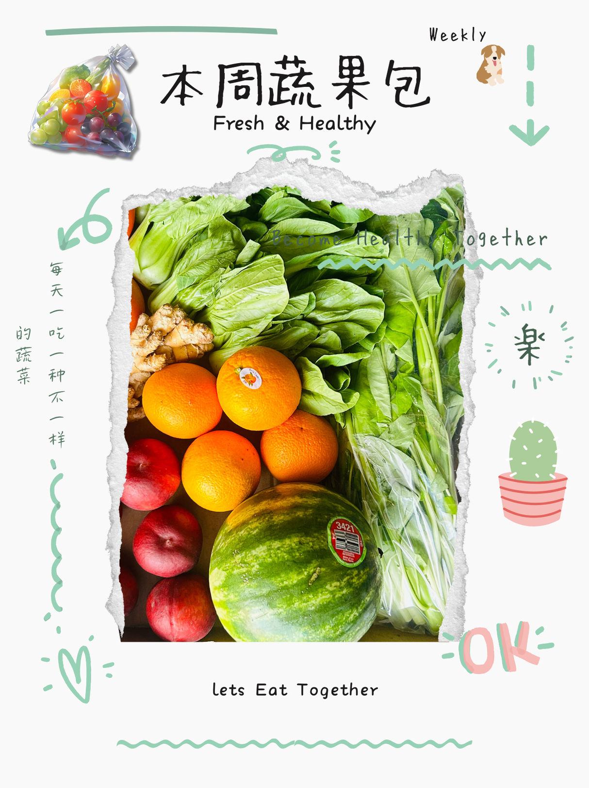 【TRULY FRESH】Fruit and vegetable pack 3+3 kinds