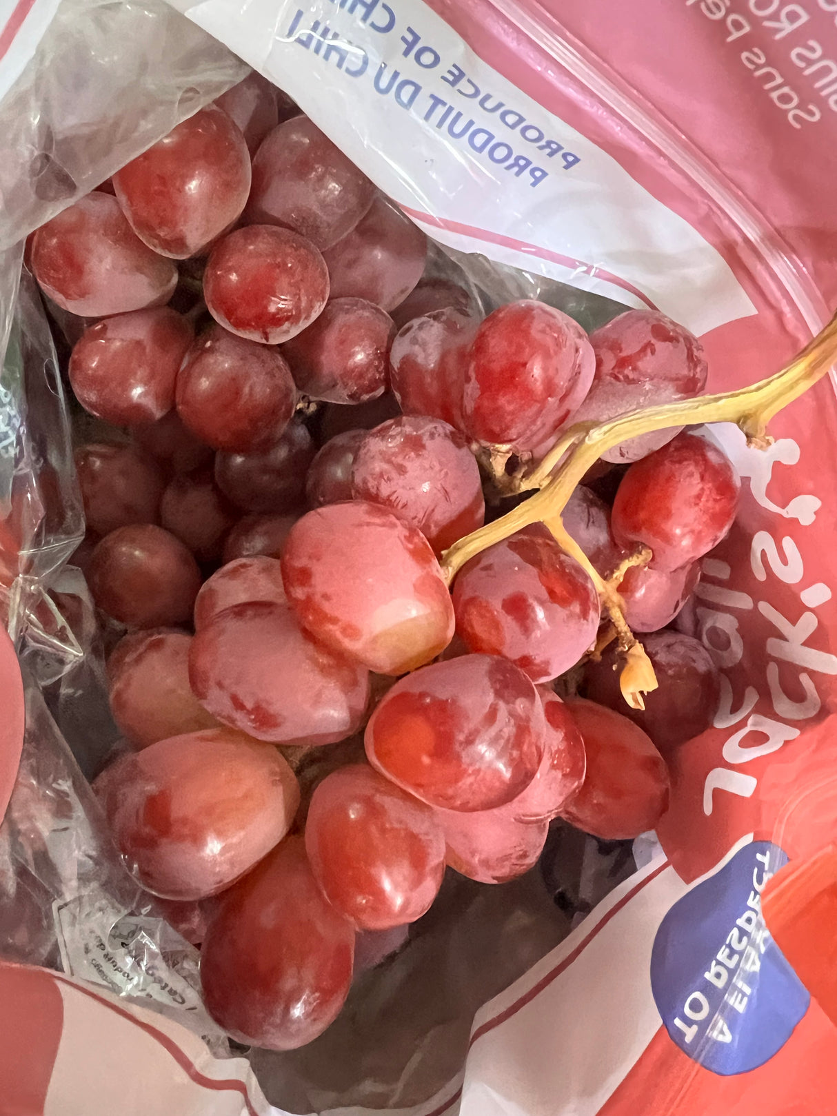 特價【南非】無籽紅提