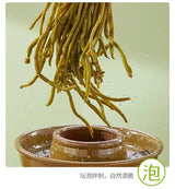 特价【吉香居】泡椒缸豆（酸辣）