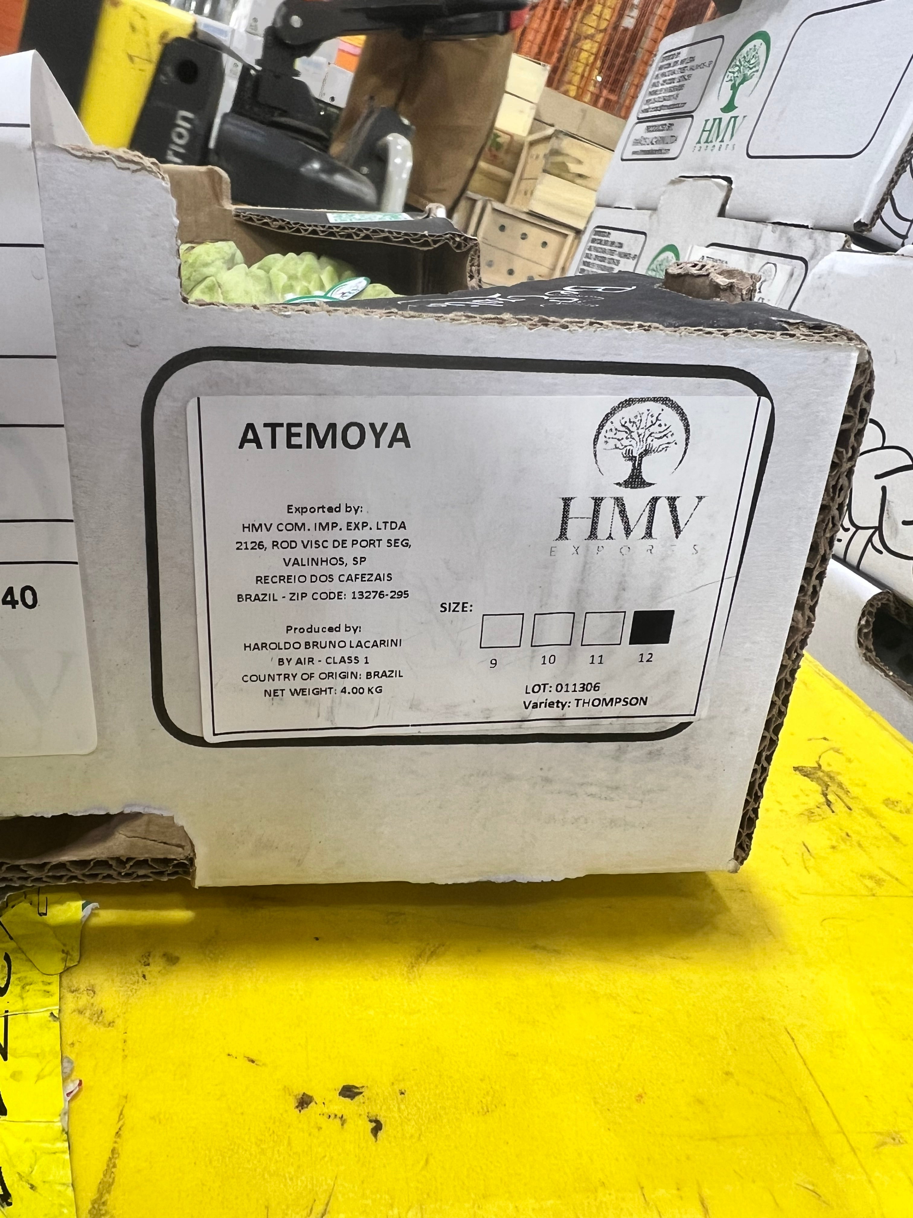 Apple - sugar C4 Ultimate Sugar-Free Energy Drink, Electric Sour Apple