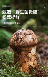 【松鲜鲜】松茸白灼汁