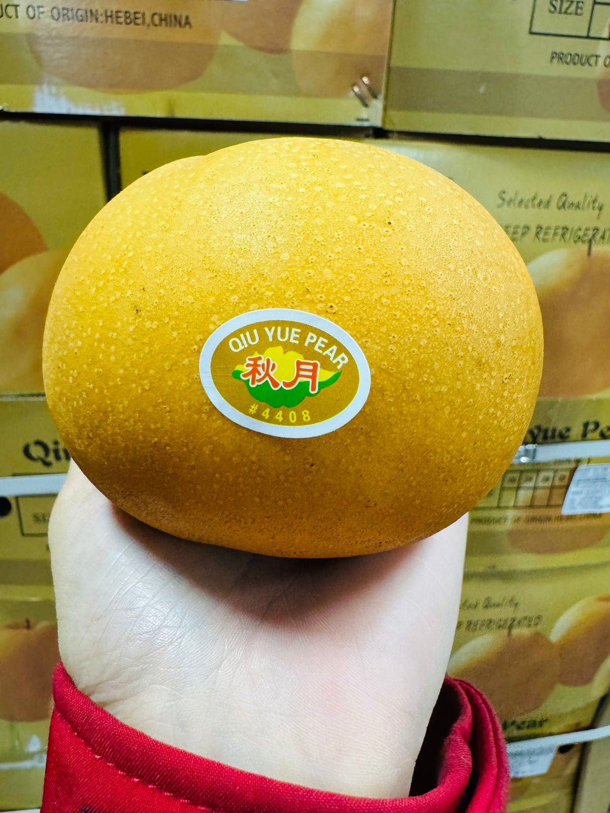 【China】Qiuyue Pear 22 pounds