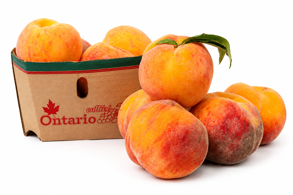 Special Offer: Local Golden Peaches (4 lbs)