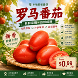 特价【本地】罗马番茄