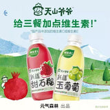 【天山爷爷】新疆玉葡萄 果汁饮料 400ml*15