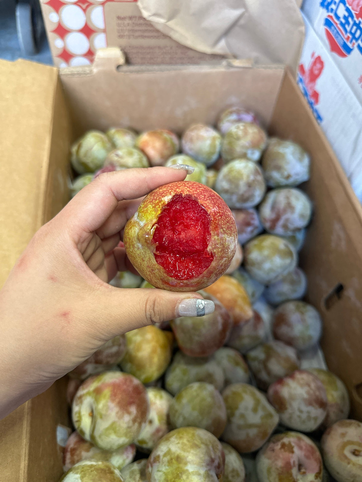 【USA】Sanhua plums 4 pounds