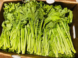 【本地】有机雪里蕻