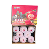 【垣上】红富士苹果礼盒 1盒2.5公斤