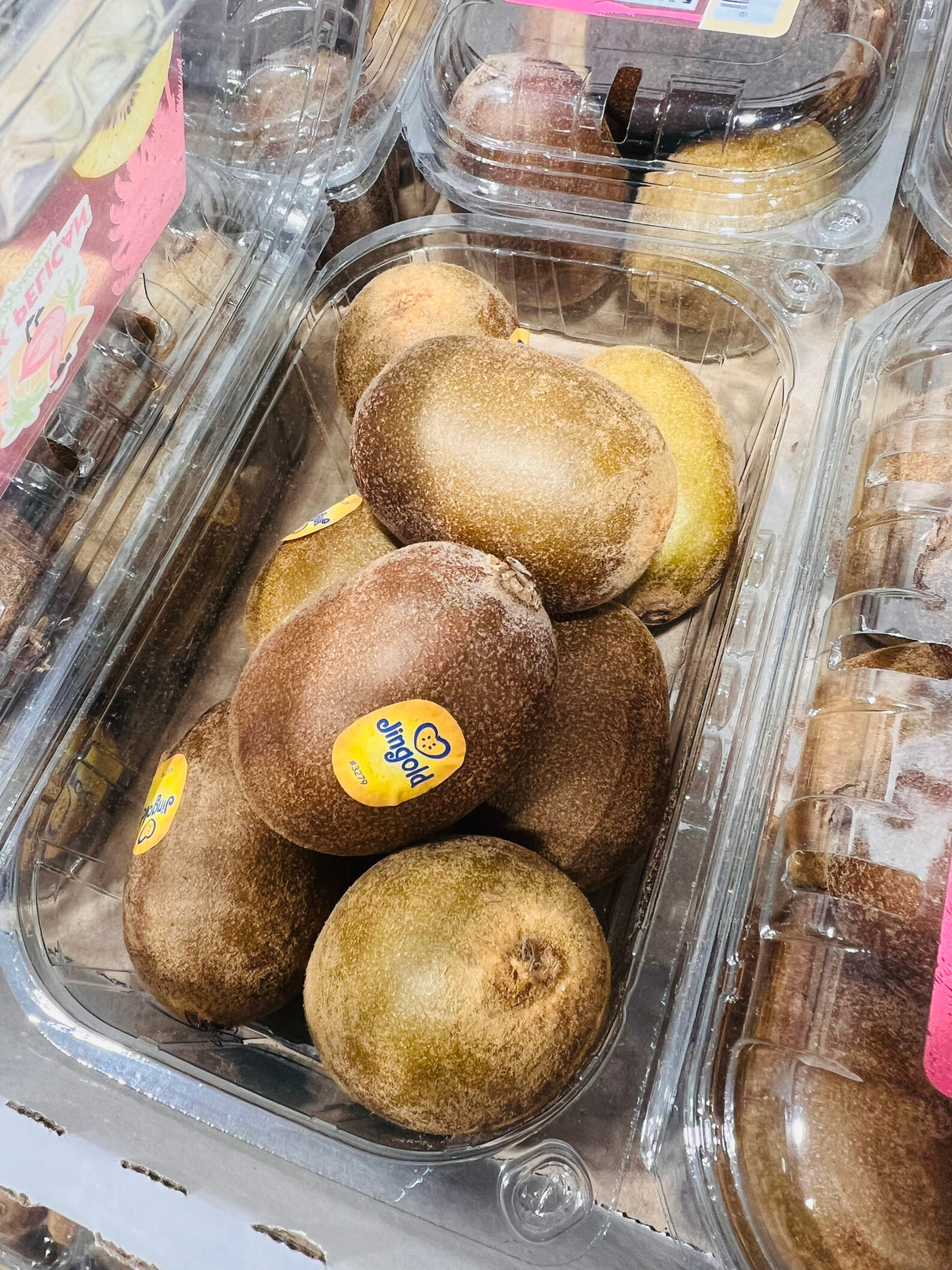 【JINGOLD】黄金猕猴桃