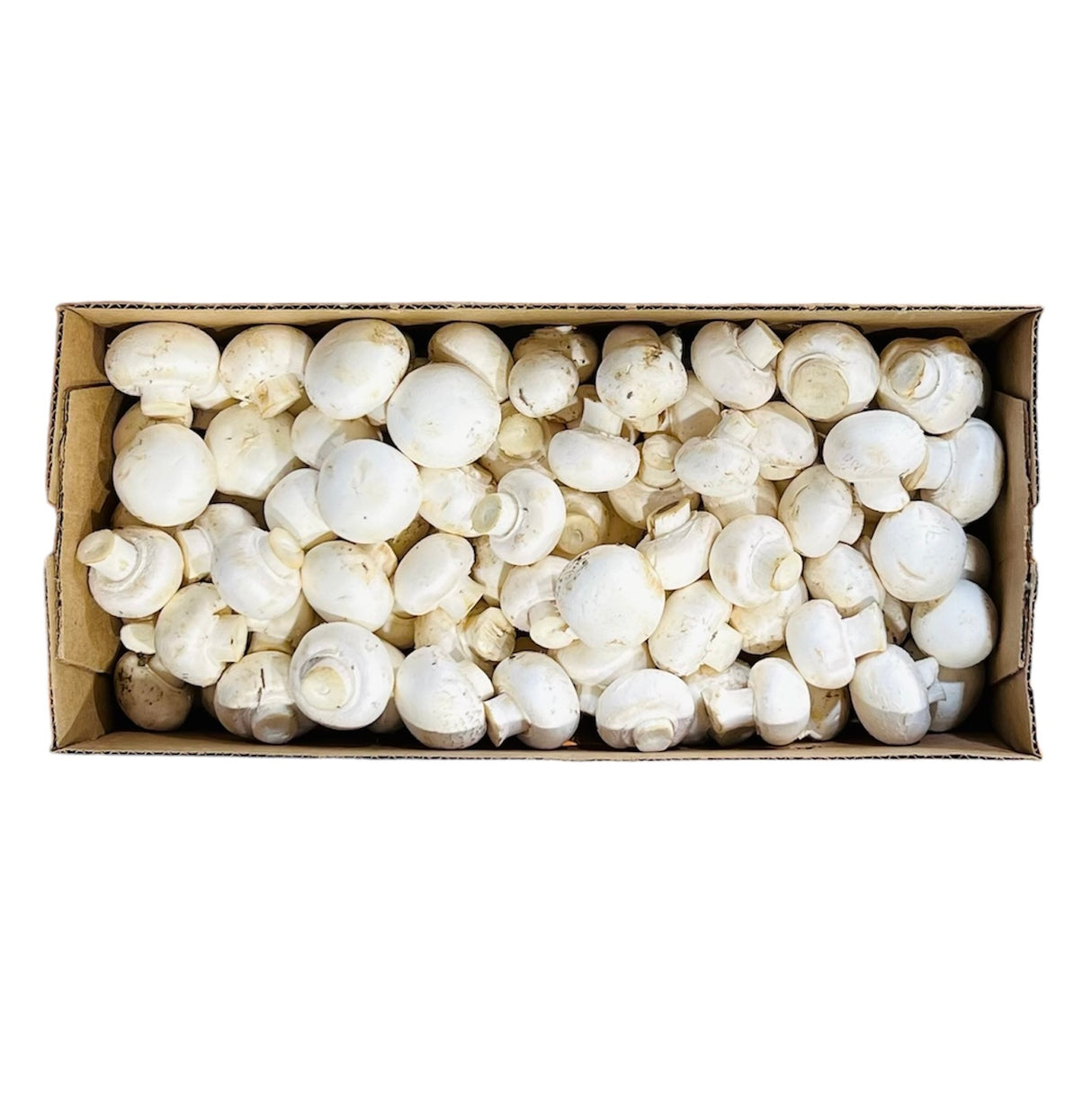 【Local】White mushrooms 1 box 5 pounds