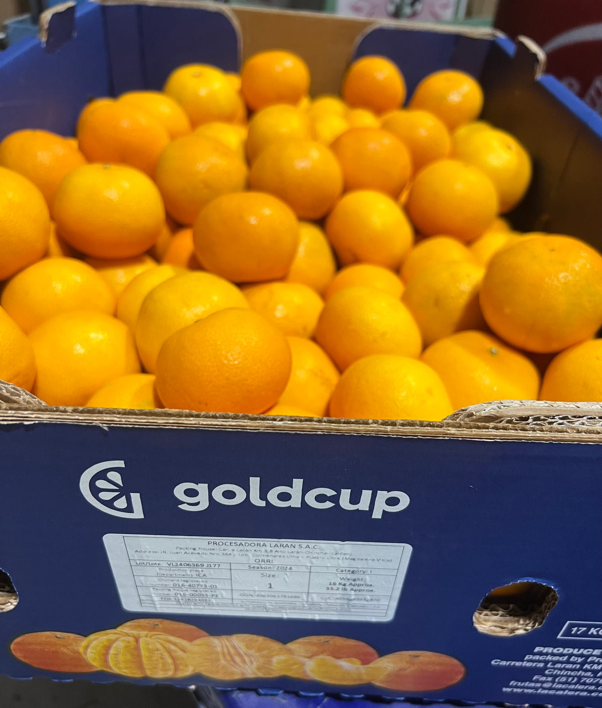 【ORRI】Israeli sweet mandarin orange 8 pounds