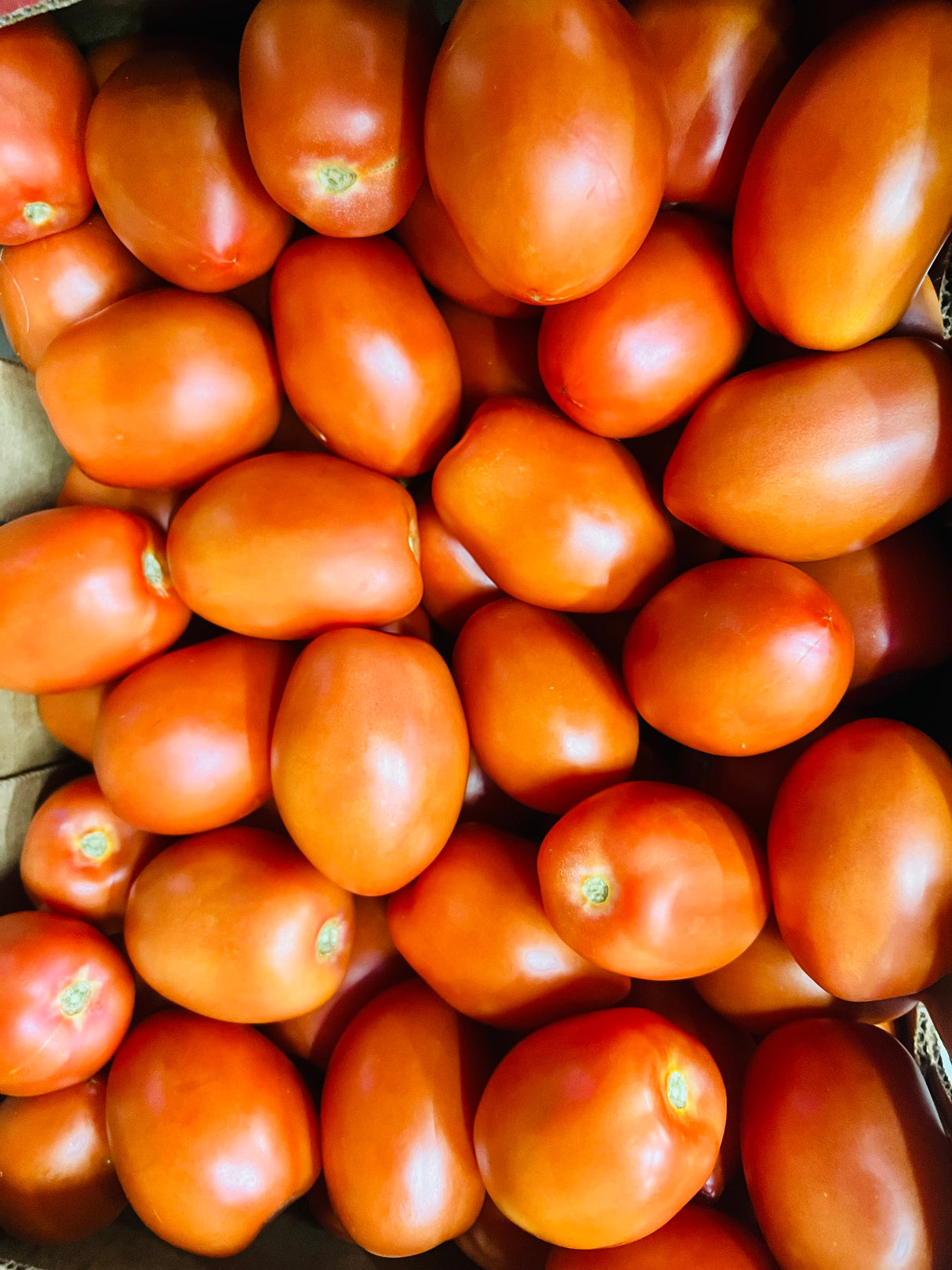 【ROMA】Fresh tomatoes