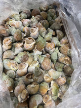 ❄️【Canada】Emerald Snail 5 pounds