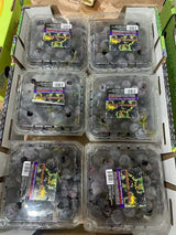 Special offer: American Kyoho grapes