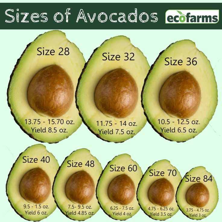 【Mexico】Avocado
