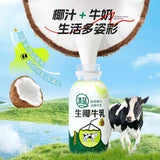 【清蓝】生椰牛乳 380ml*15