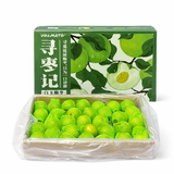 【VOLMATO】白玉脆枣礼盒（牛奶枣） 1盒2.5公斤