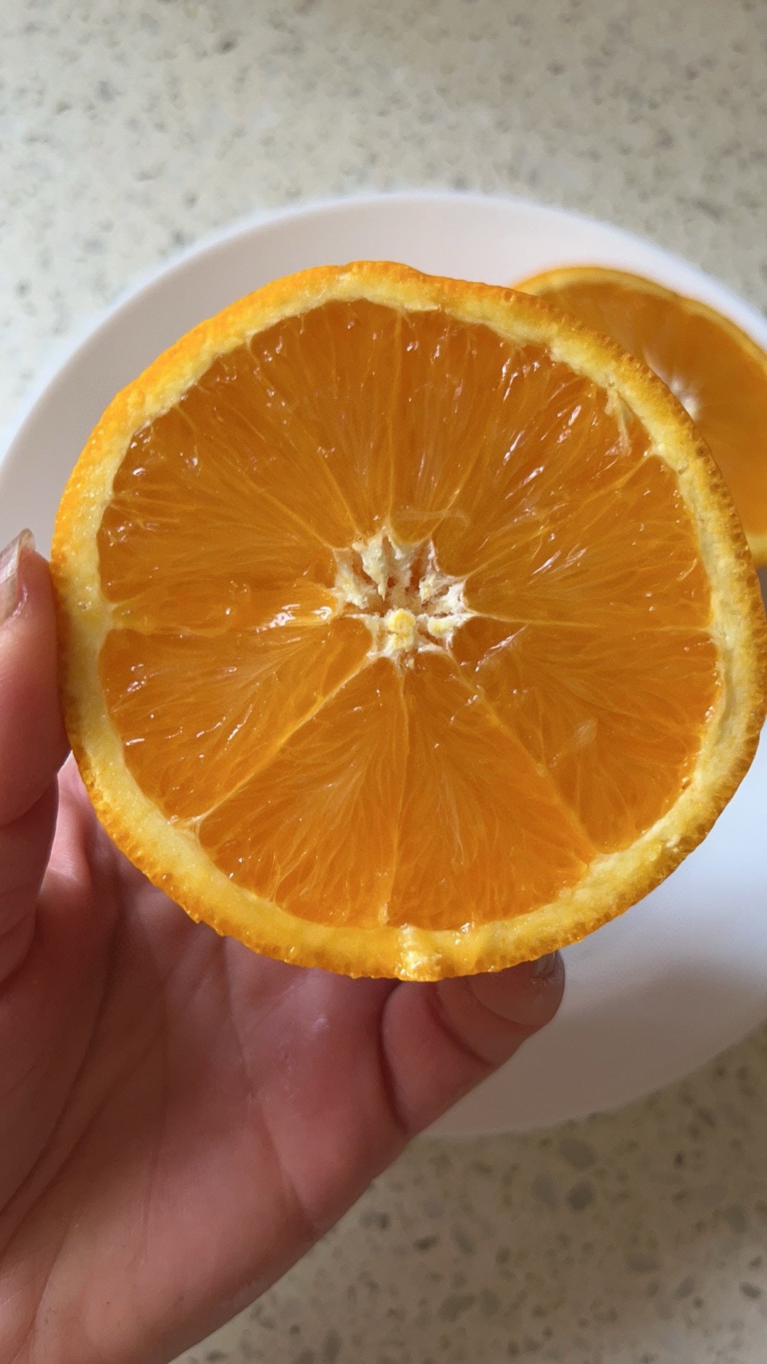 Double Happiness】Sweet Orange 10 lbs. – Truly Fresh Grocery