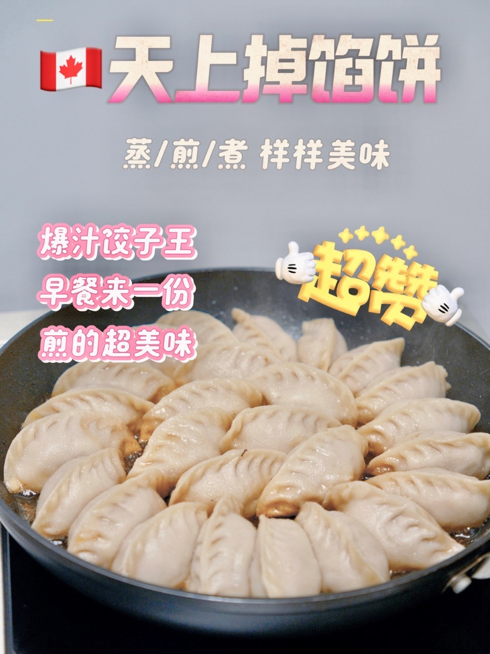 ❄️【Pie in the sky】Juicy dumplings set 2.5 pounds * 3