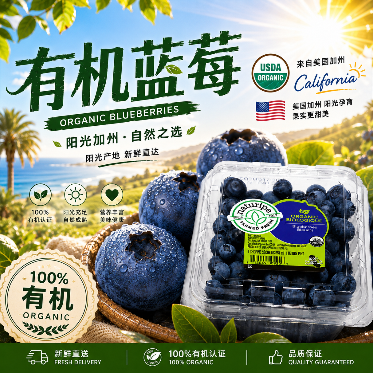 【ORGANIC】新鲜有机蓝莓