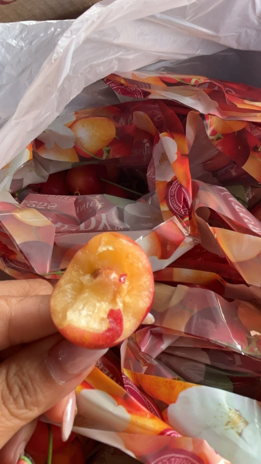 【USA】Rainier Golden Cherries 3 pounds