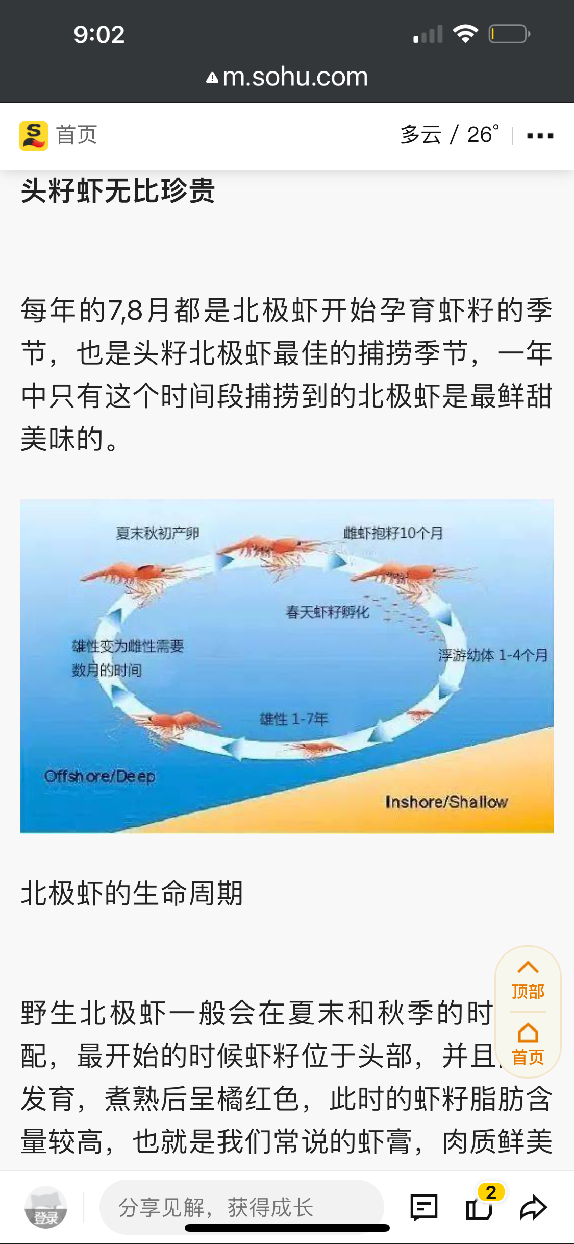 ❄️【加拿大】頭籽北極甜蝦1箱11磅