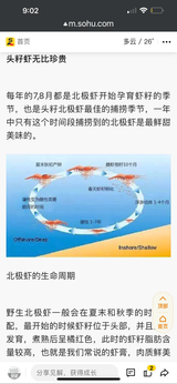 ❄️【加拿大】頭籽北極甜蝦1箱11磅