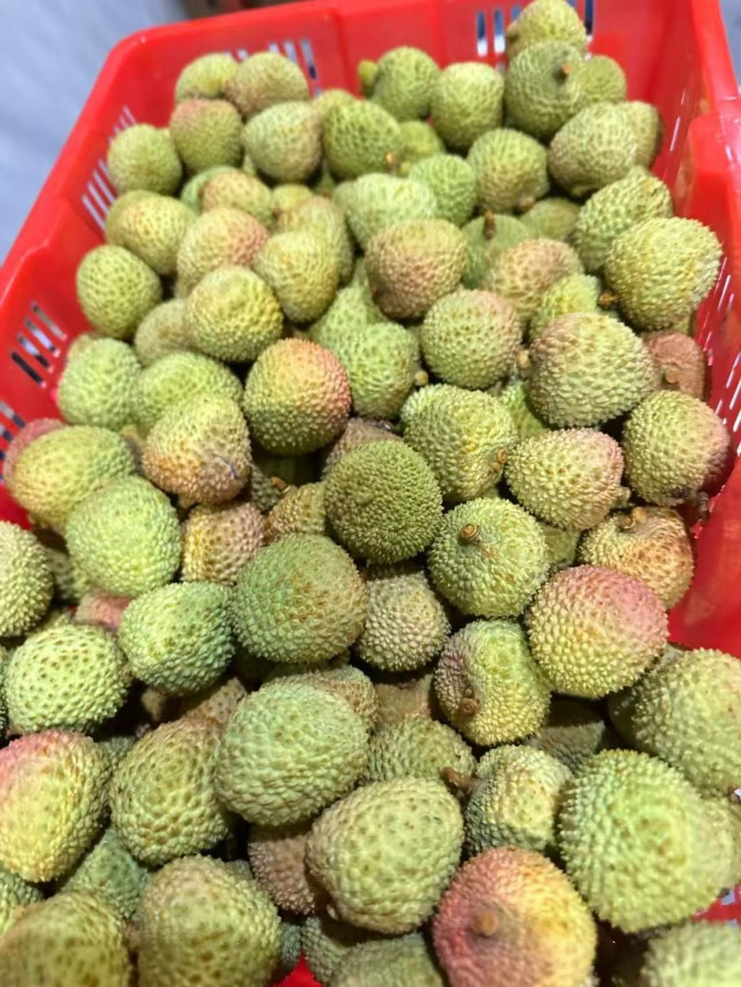 【China】Feizixiao Lychee 3 pounds