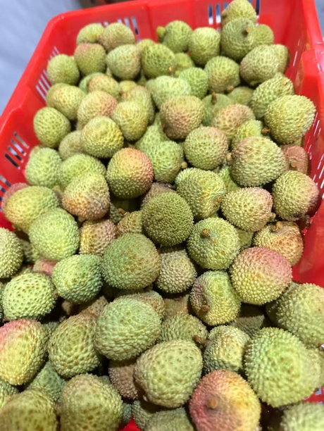 【中国】妃子笑荔枝 3磅