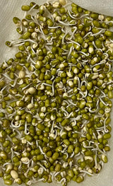 薅羊毛【Local】8lbs mung beans