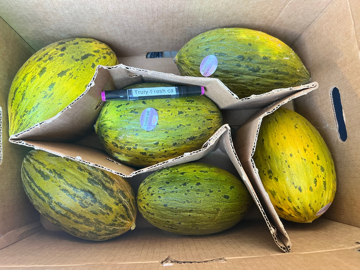 【Brazil】Emerald Melon